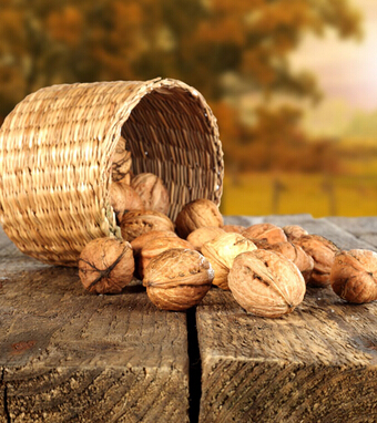 肾虚吃什么好 超级养肾的 黑五类