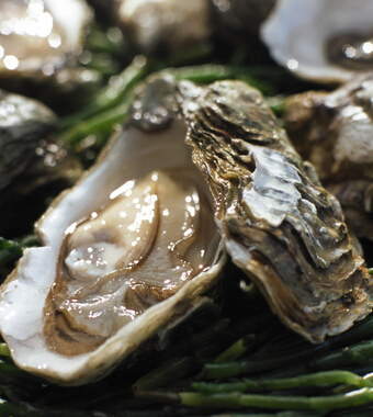 健康饮食 男人要滋补多吃牡蛎餐