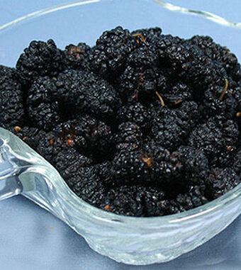 桑葚的功效与作用 桑葚保健抗老安眠防脱发