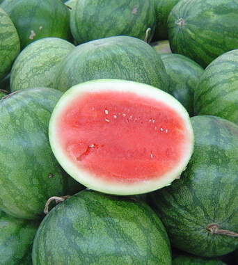 西瓜的功效与作用 西瓜解暑养颜有一手