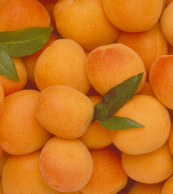 水果的营养价值 抗病力一流的营养水果