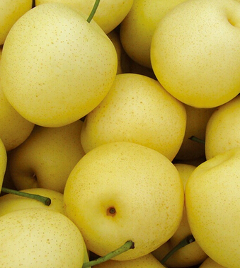 秋燥吃什么好 秋季吃十水果防秋燥