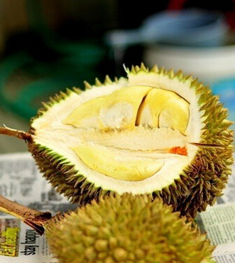 榴莲的功效与作用 榴莲的9大养生功效