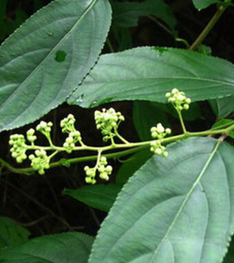 男性健康常识 需要注意的9种伤肾行为