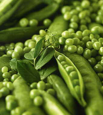 夫妻那些事 夫妻生活和谐有助于延年养颜