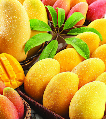 芒果的功效与作用 女性多吃芒果可防乳腺癌