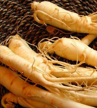 女性健康 养好气血让你美丽一生