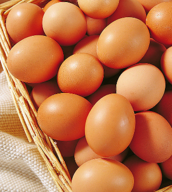 性爱生活 常吃鸡蛋男助性女短命