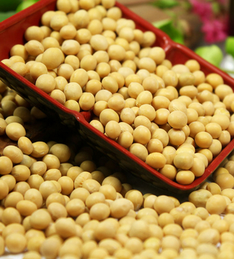 性爱故事 适度的性生活有益健康