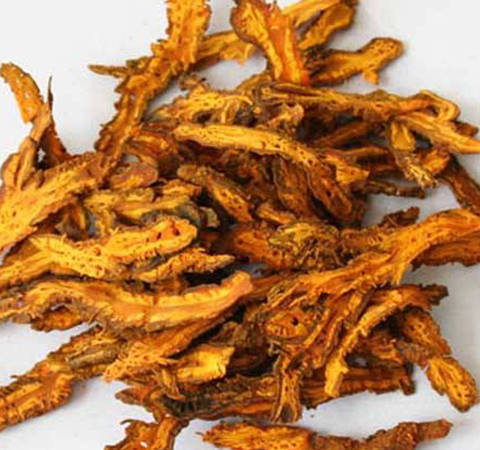 保护胃粘膜 黄莲的作用功效及禁忌介绍