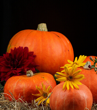 南瓜的吃法 吃南瓜要谨记6大忌