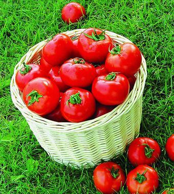 肾虚怎么办 10种食物男人永远精力旺盛