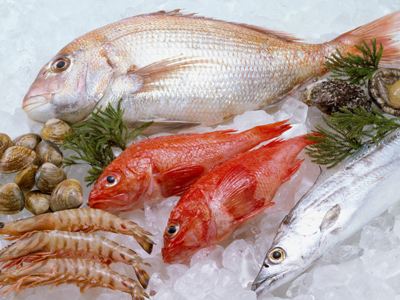 容易引起过敏的海鲜 海鲜过敏怎么办