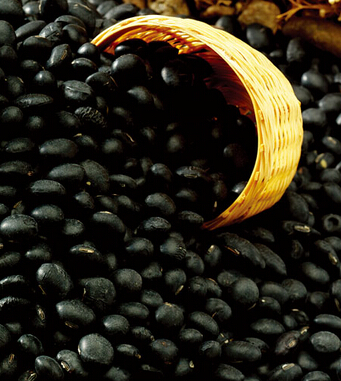 男人补肾的食物 让男人更 阳 的补肾食物