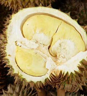 榴莲的营养价值 有哪些保健作用