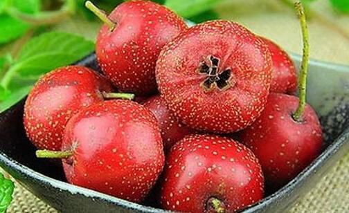 孕妇能吃山楂吗以及吃山楂的危害是什么