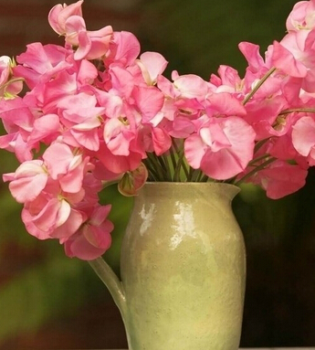 极品桃花运 催旺你桃花运的小物件