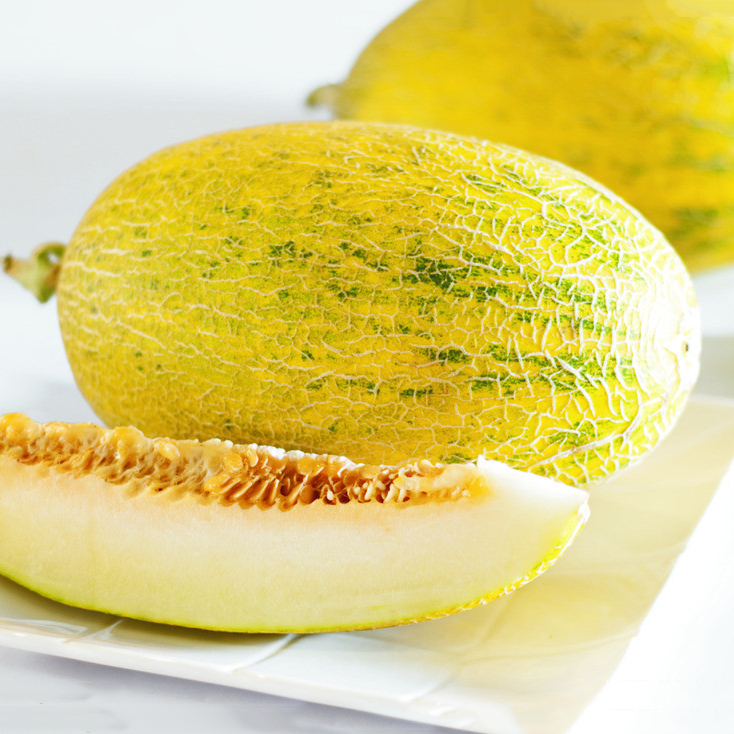 孕妇可以吃哈密瓜吗 孕妇吃哈密瓜要注意什么