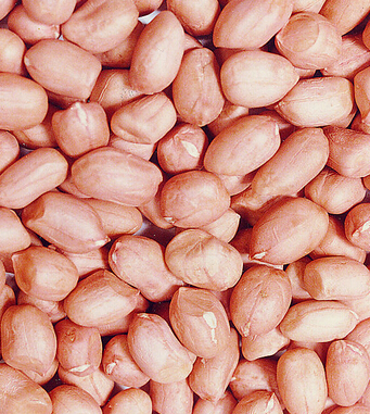 秋季养生小常识 秋季饮食养生10大忌要留意