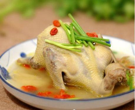 老少皆宜的补品 鸽子的营养价值