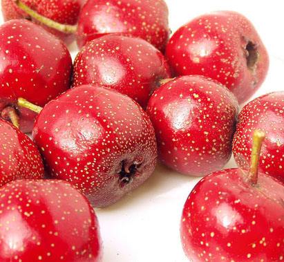 孕妇能吃山楂吗以及吃山楂的危害是什么