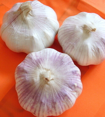 肾虚怎么办 10种食物男人永远精力旺盛