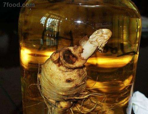 养生泡酒配方大全及制作和功效介绍