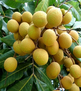 失眠怎么办 七种食物助你一夜好眠