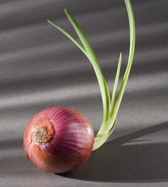 皮肤干燥怎么办 健康从 五戒 吃起告别干燥