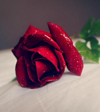 气血不足如何调理 4类食物女人应多吃