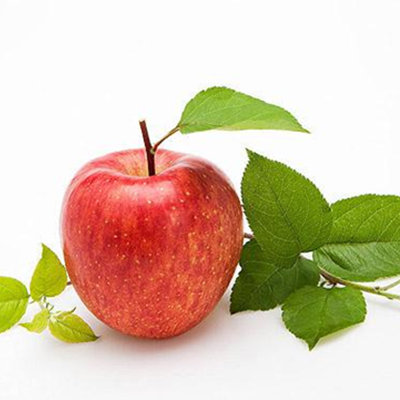 晚上吃水果好吗  适合晚上吃的水果