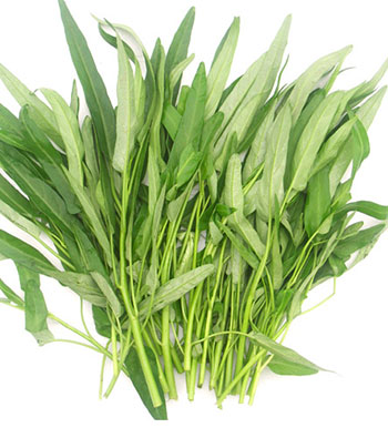 空心菜有什么功效与作用 如何挑选新鲜空心菜