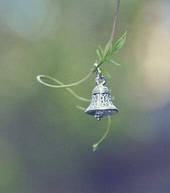 生财有道 风水学来教大家闷声发大财