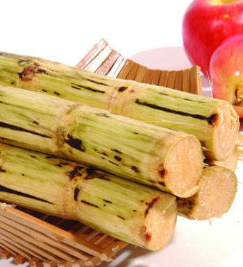 减肥达人推荐 减肥水果食谱一周可瘦10斤