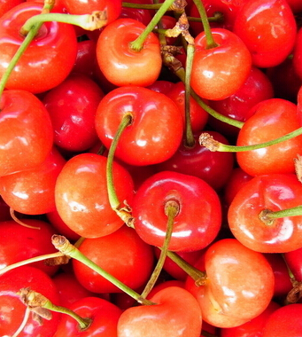 吃樱桃有什么好处 夏食樱桃补气养心