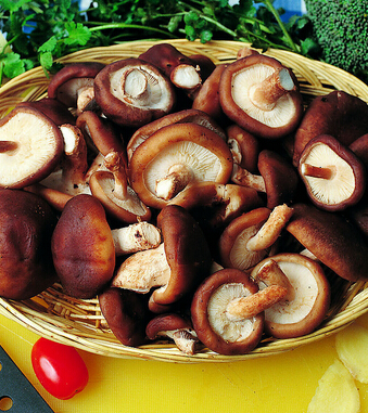 皮肤干燥怎么办 健康从 五戒 吃起告别干燥