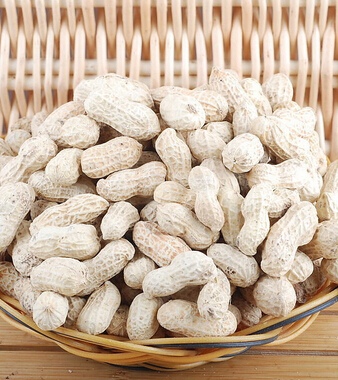 饮食与健康 9种人吃花生小心会丧命