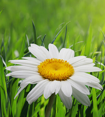 女性养生保健 女人需警惕这些寒凉美食