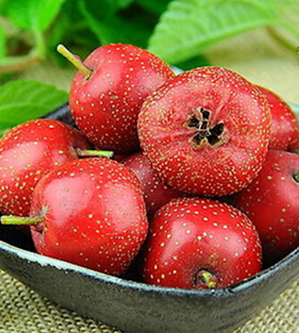 空腹喝牛奶好不好 11类食物空腹吃似 毒品