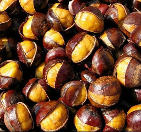 滋补佳品 板栗的功效和营养价值介绍