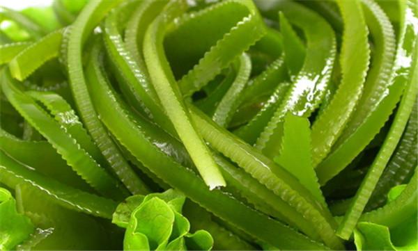 海带的营养价值 别把海带当主食吃