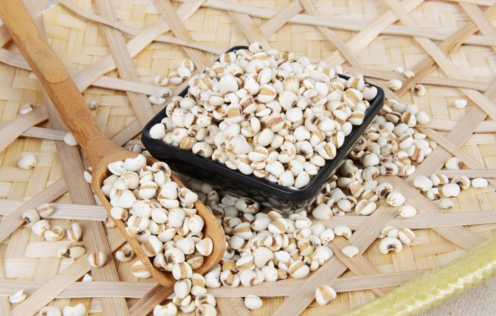 薏仁米的功效与作用及食用方法 让你意想不到的作用