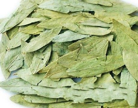 多功能的番泻叶 番泻叶的作用和功效