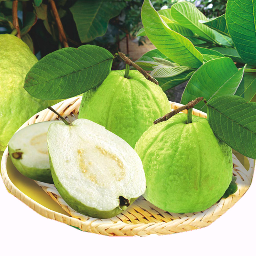 番石榴怎么吃 揭秘番石榴的功效与作用