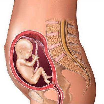 胎位不正的分类有哪些你都知道吗