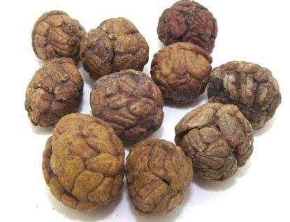 豆蔻是什么 豆蔻药理作用及生活应用介绍