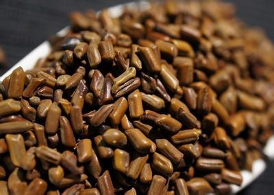 小小颗粒决明子的功效与作用及食用方法详解