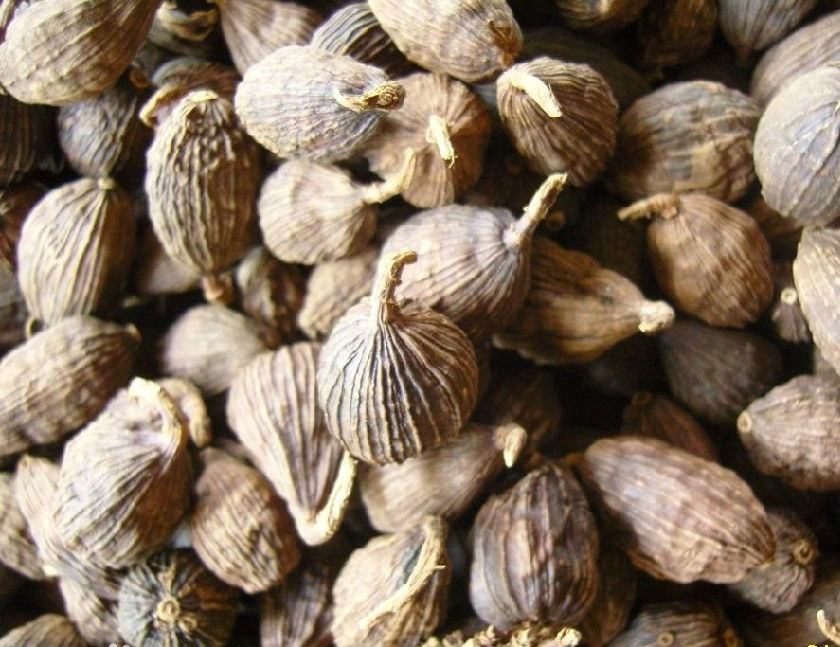 罪恶之花罂粟壳的功效与作用