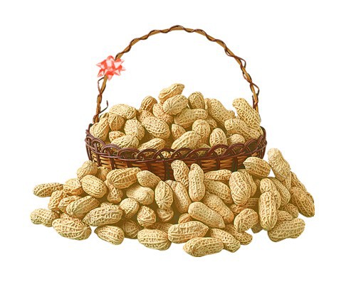 吃花生会胖吗?真相居然相反