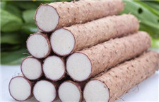 山药怎么做好吃 四种家常做法